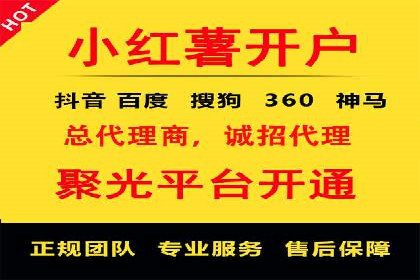 解析SEM推广代运营公司的成功案例及效果